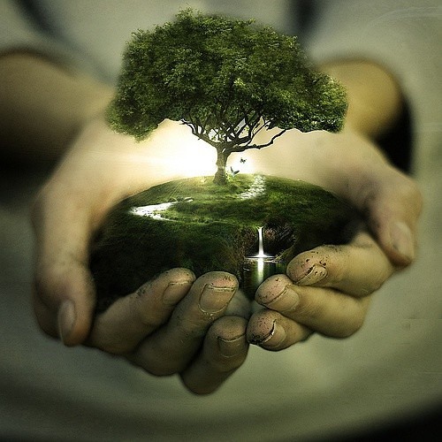 生命(电影)《生命》(又名《生命脉动》)是由bbc制作的十集系列纪录片