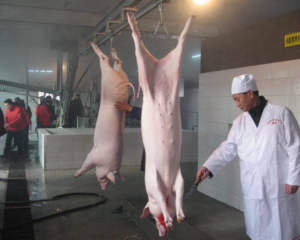 《生猪屠宰管理条例》