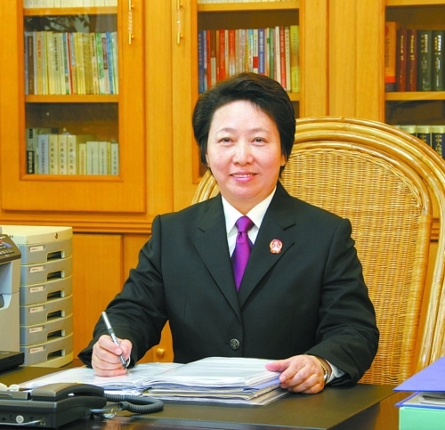 马新岚(政治人物)