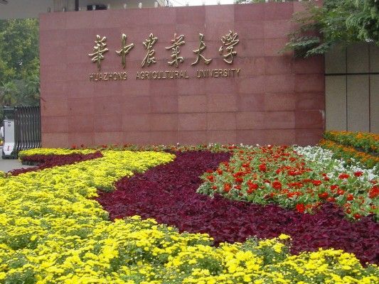 华中农业大学 校门
