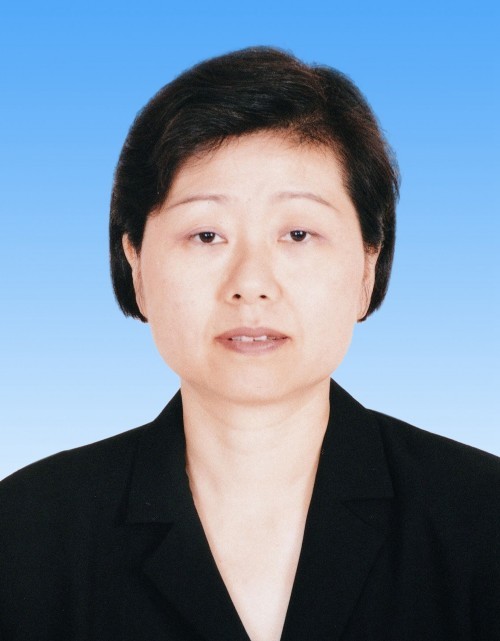 袁新华 (政治人物)