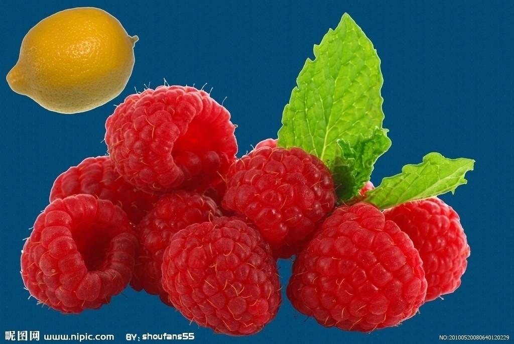 梅蛇其他人物相关