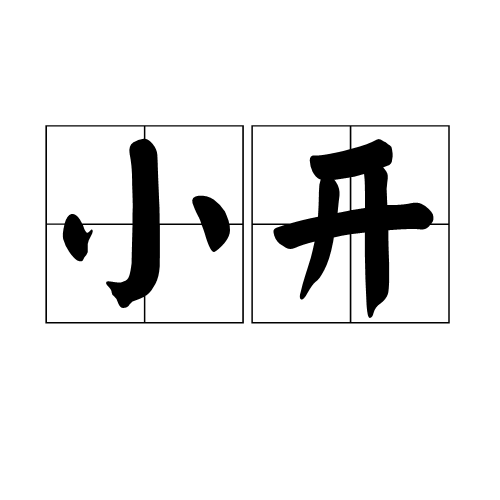 小开(词汇)