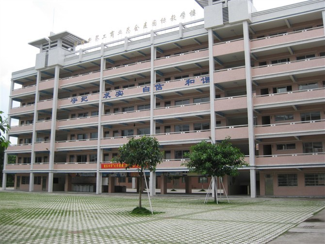 佛冈县城东中学(学校)