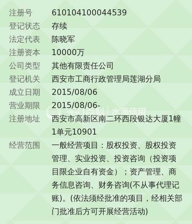 西安泰禾投资控股有限公司