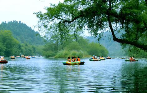 九龙原始森林景区图片