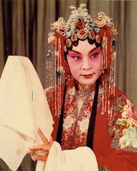 陈玉华(演员|文化人物)