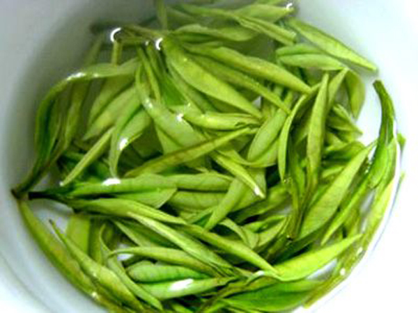 紫笋茶(其他生物相关)