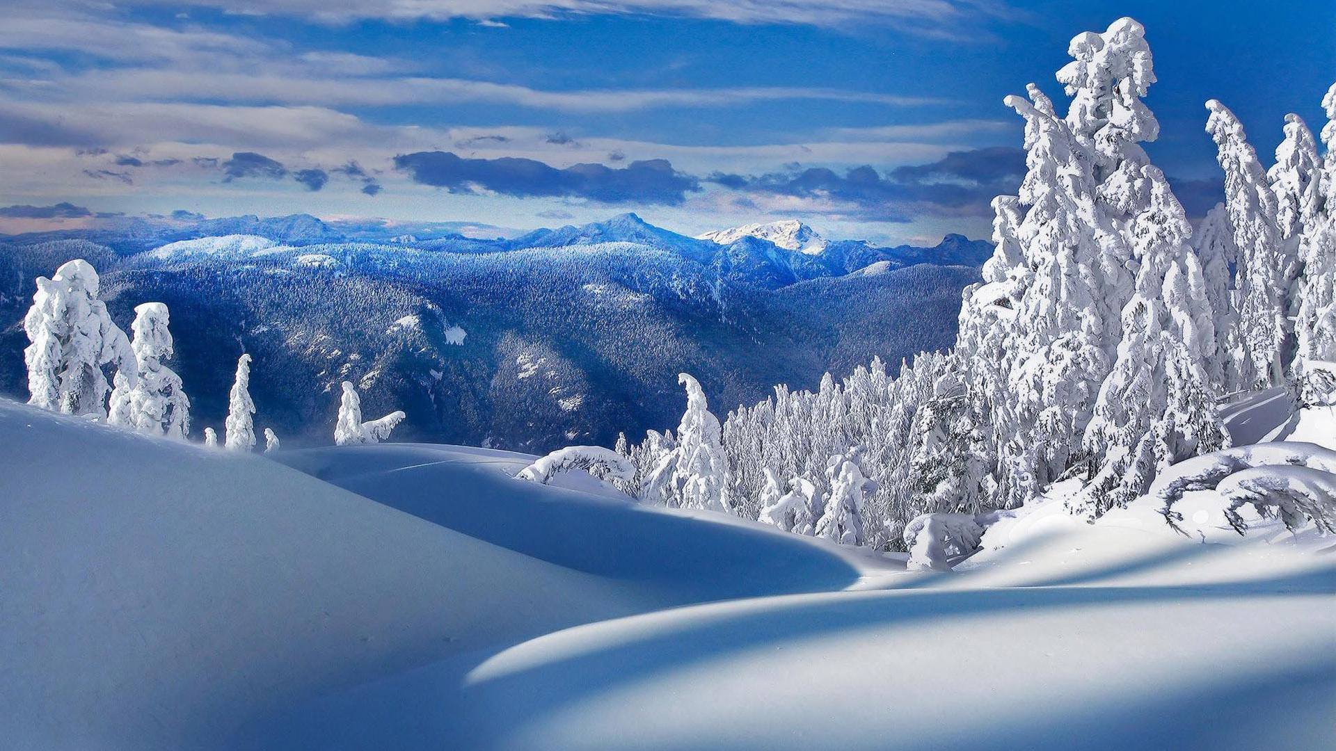 自然唯美的雪景壁纸大全43126_冬雪系列_风景风光类_图库壁纸_68Design