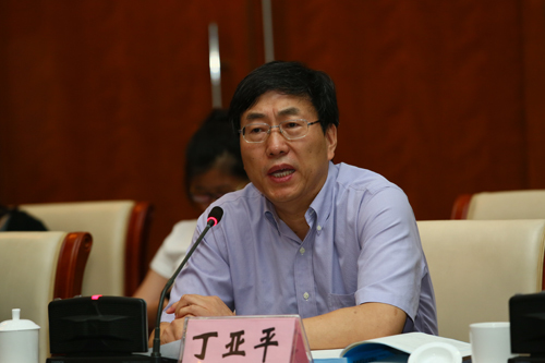 丁亚平 (其他实业人物相关)