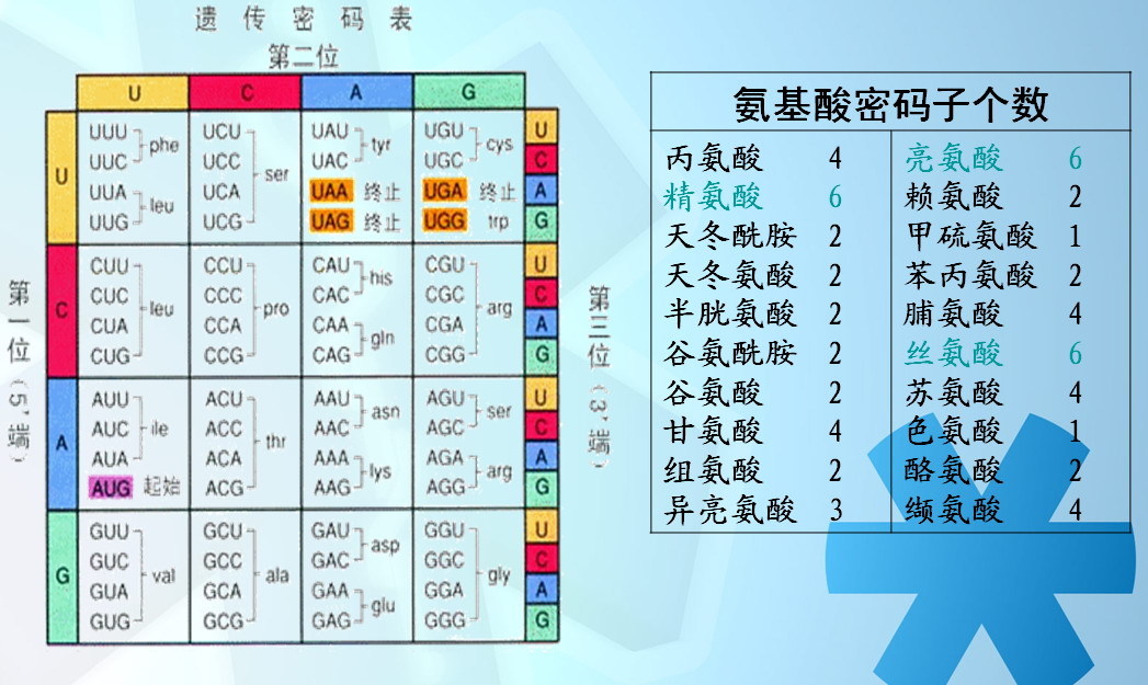 优化密码子的网站 360搜索