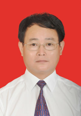 赵泽华政治人物