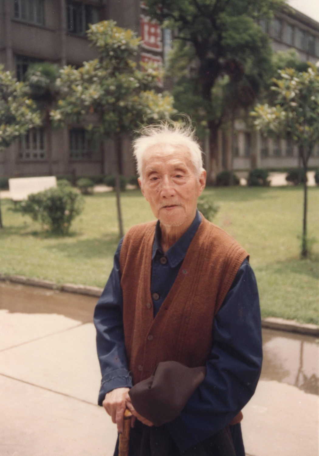 胡献雅 (文化人物|政治人物)