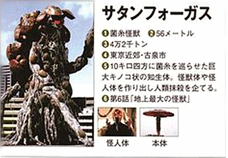 弗加斯 (自然人类学)