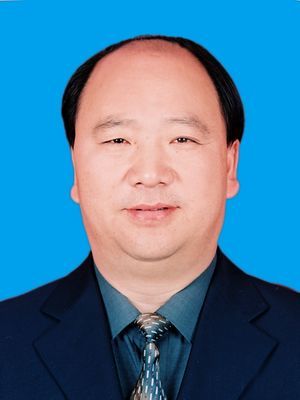 王发省医生政治人物