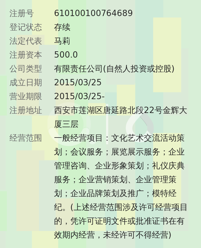 西安艺鑫文化传播有限公司