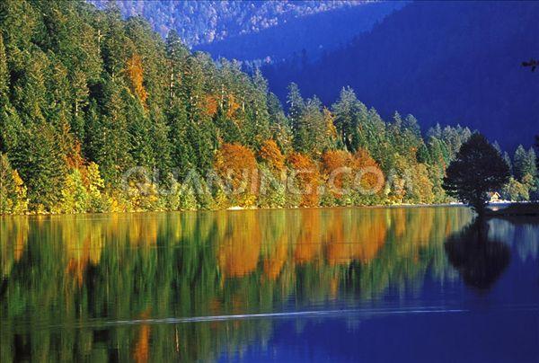 孚日山脉(地点)