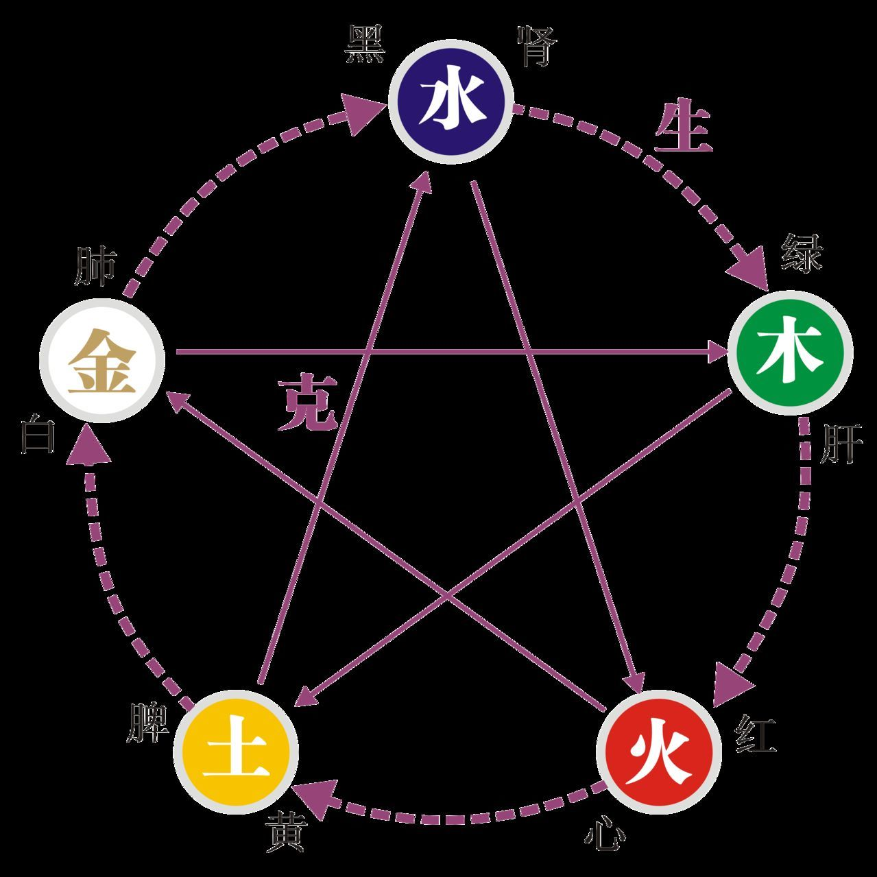 五行道学系统观