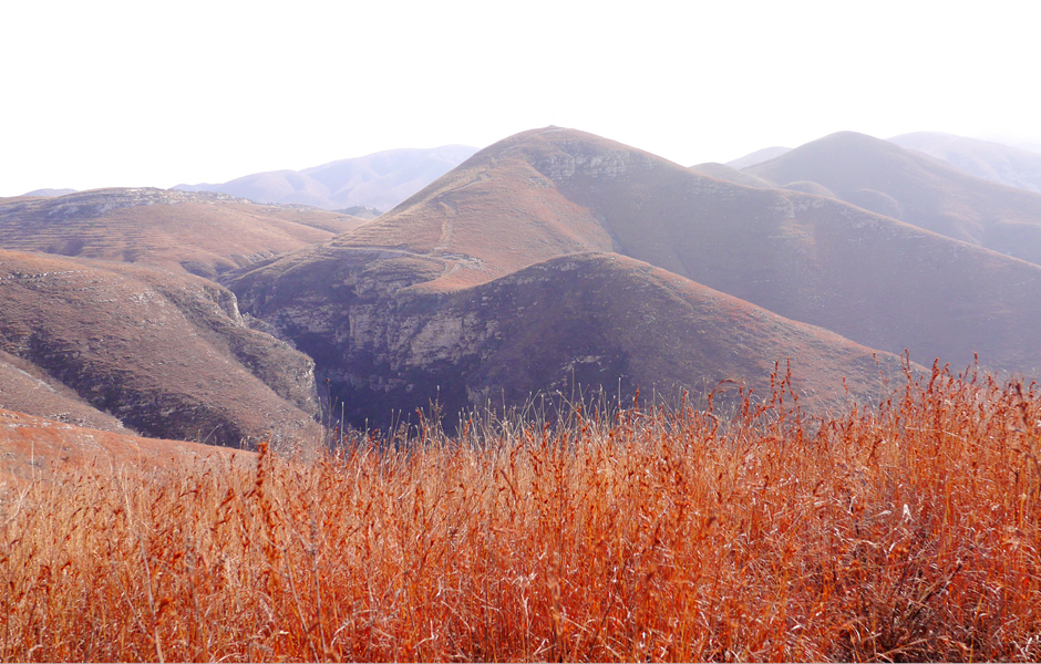 北京平谷青龙山旅游区图片