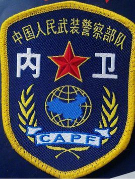 武警改名国民警卫队图片