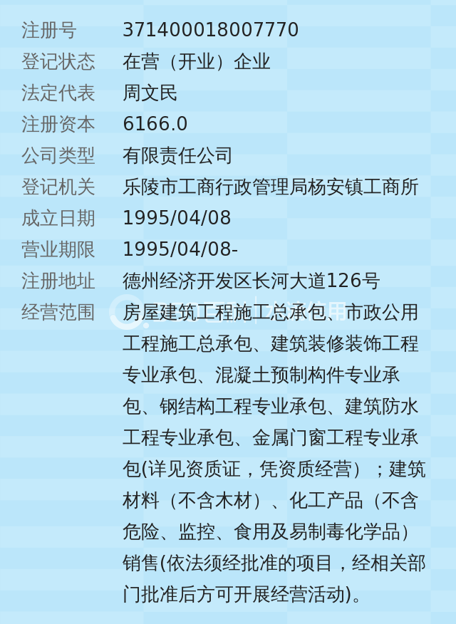 德州天元集团有限责任公司