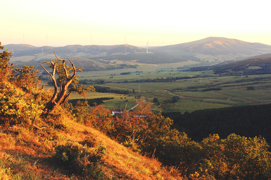 康平县(辽宁省沈阳市下辖县)