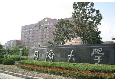 同济大学化学系 (学校)