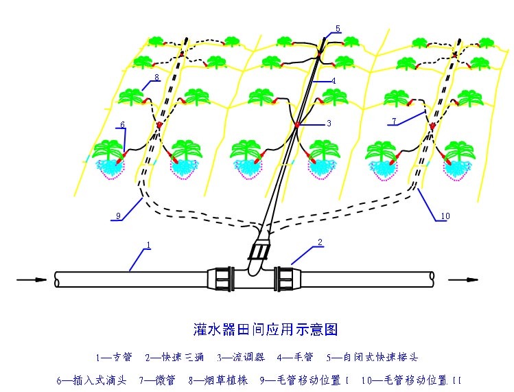滴灌技术(农学)