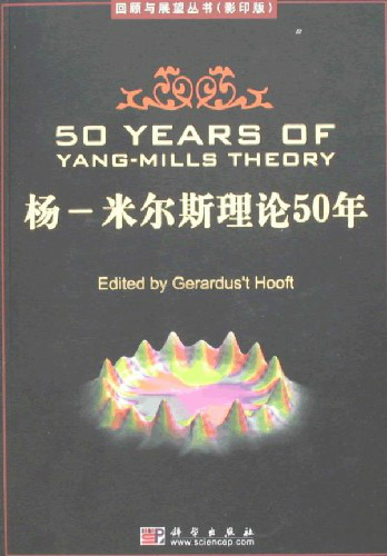 杨·米尔斯理论 (其他数学相关)