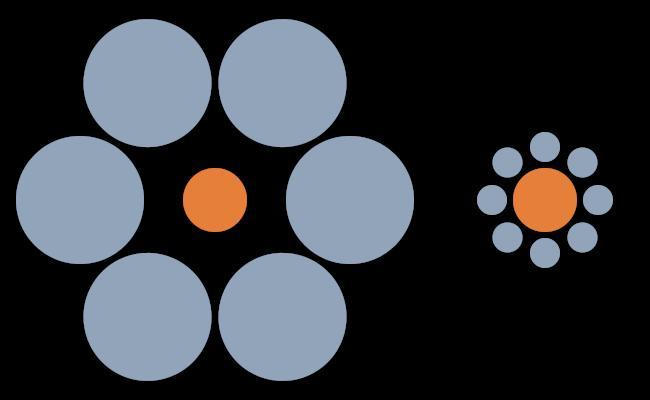 艾宾浩斯错觉(心理学)