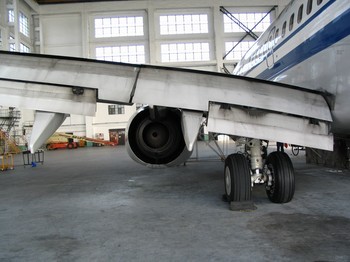 襟翼 (其他科学相关)