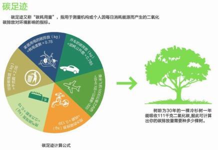 庄闲和游戏-15万个零部件的碳账本：振华重工拿下全球首张碳足迹证书冲破绿色壁垒