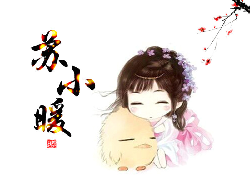 苏小暖 (文化人物)