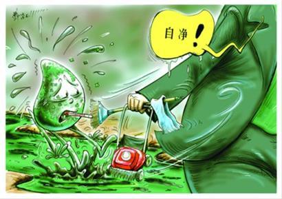 水体自净 (生态学)