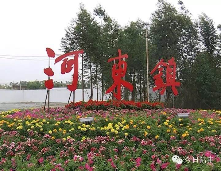 河东镇行政区划