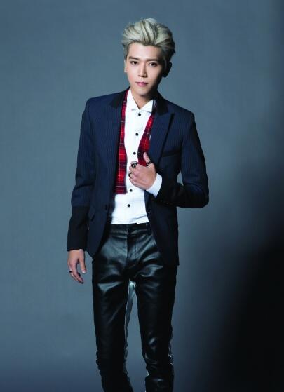 2007年,毕书尽为台湾地区电视剧《放羊的星星》演唱插曲《对望》的