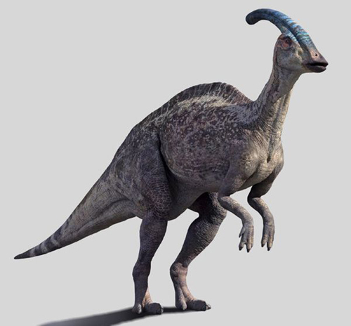 似栉龙 (其他游戏相关)