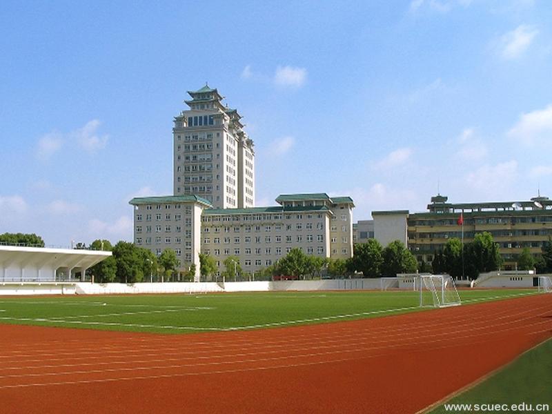 中南民族大学体育学院(学校)