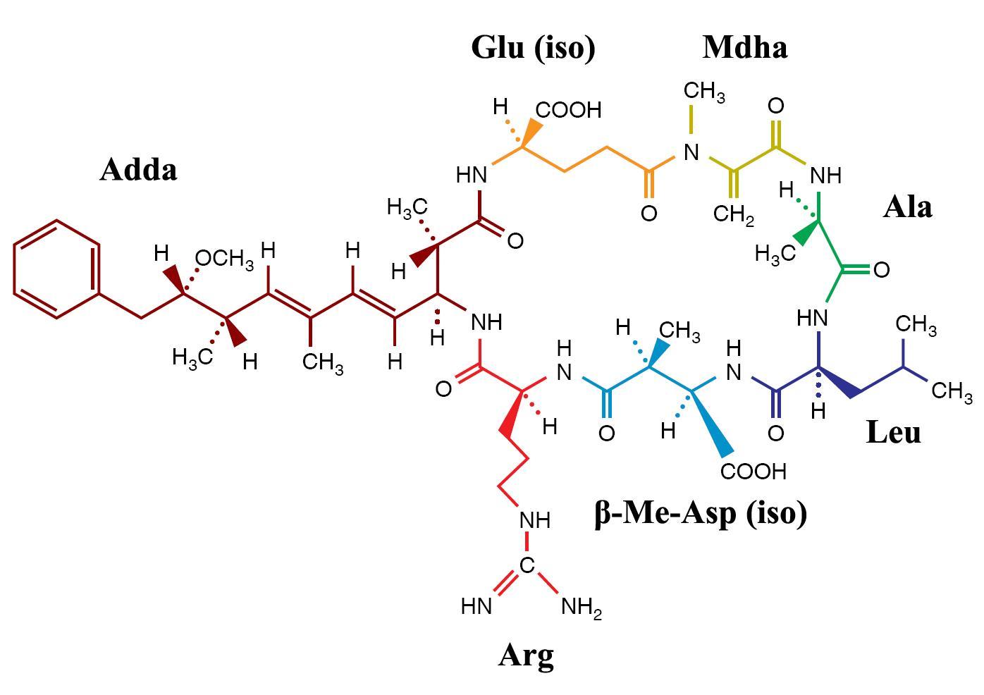藻毒素其他生物相关