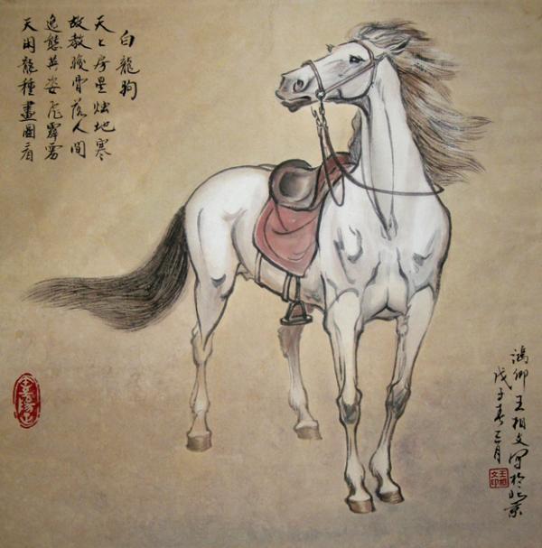 白龙驹 (电视剧)