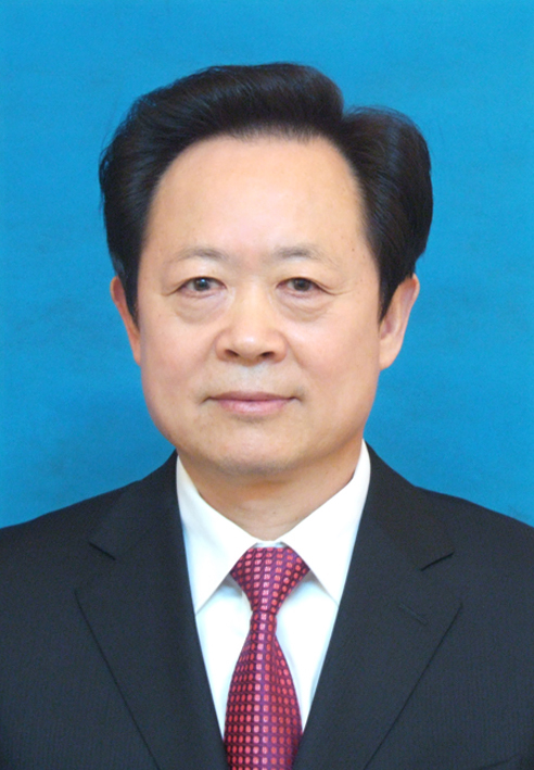 孙金献 (政治人物)