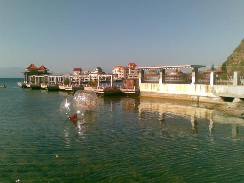 澄江县海口镇行政区划