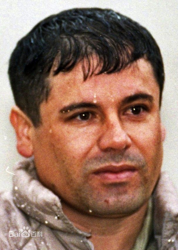 乔奎恩古兹曼其他人物相关