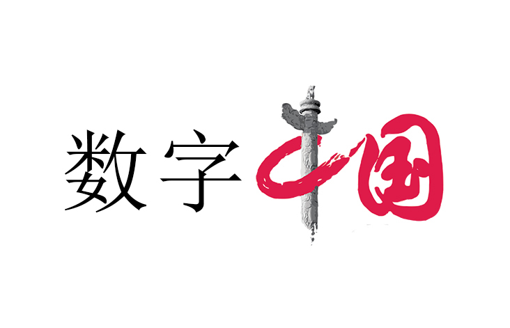 数字中国 (网络技术)