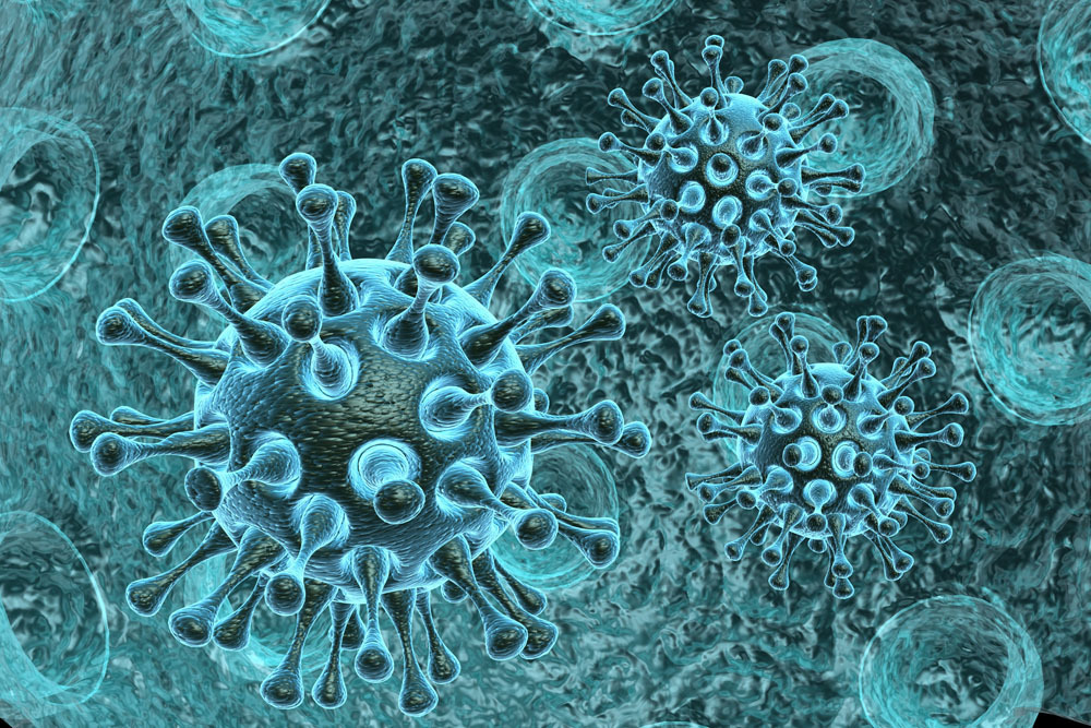 “爱丽兹”病毒图片