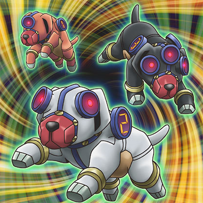 是动画《游戏王zexal》中的 小久(ドッグちゃん) 使用的卡组系列,出自