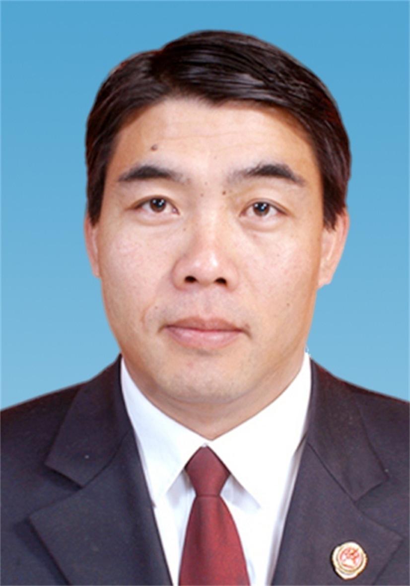 张金成(政治人物)