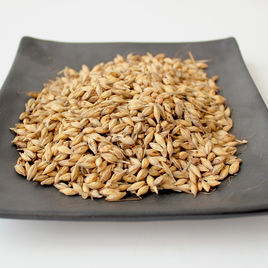 炒麦芽(医药|中医学与中药学)