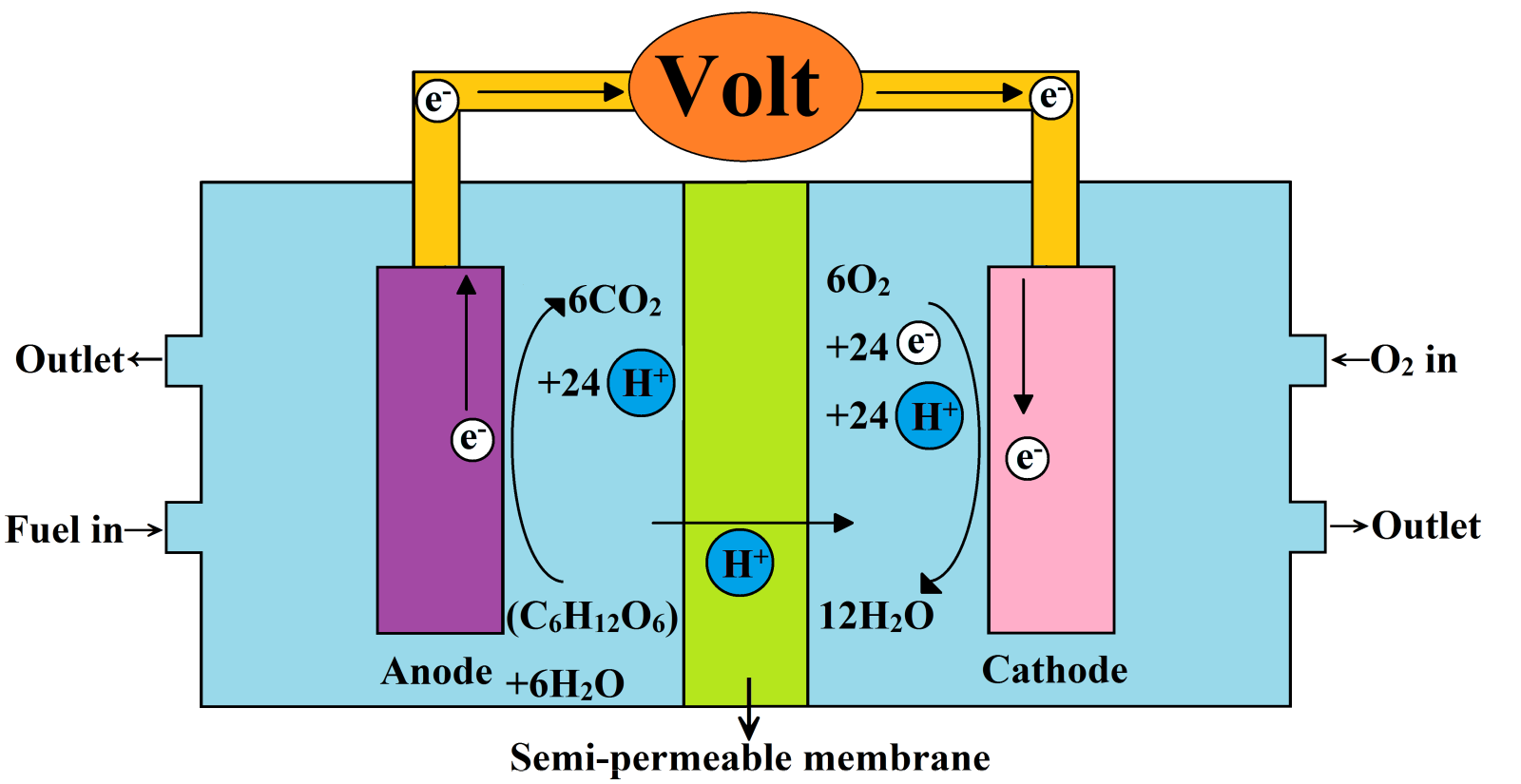 生物燃料电池 (其他人物相关)