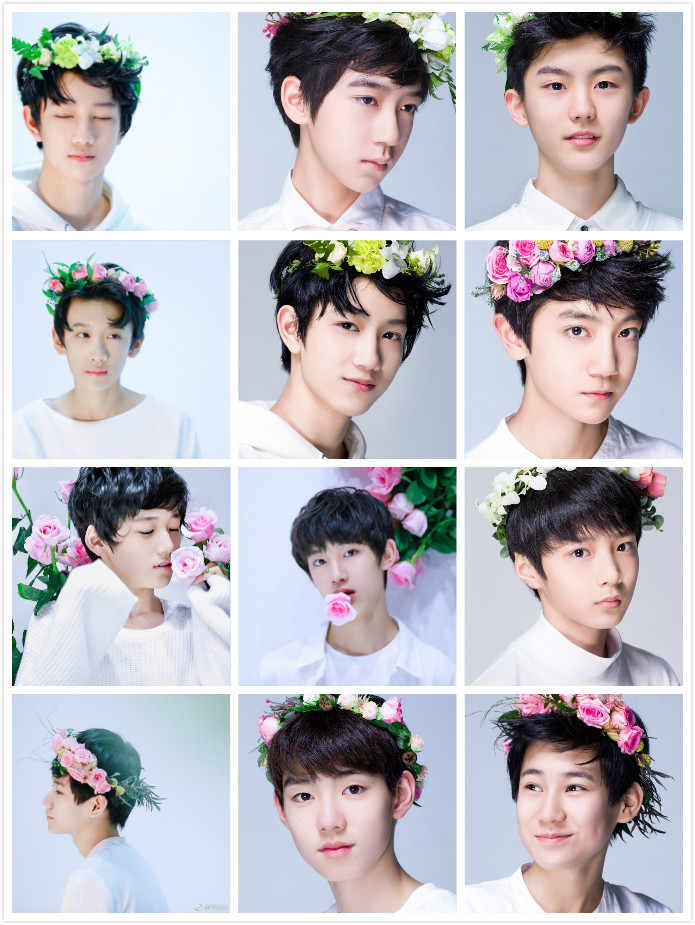 tf家族(其他组织机构相关)